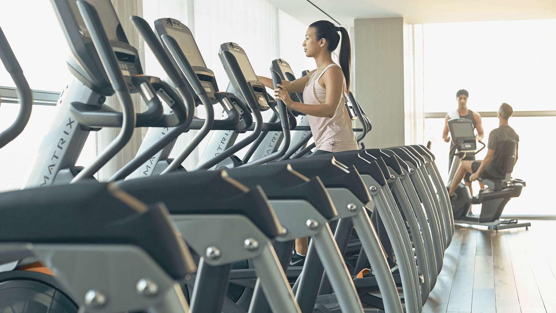 Commercial Ellipticals