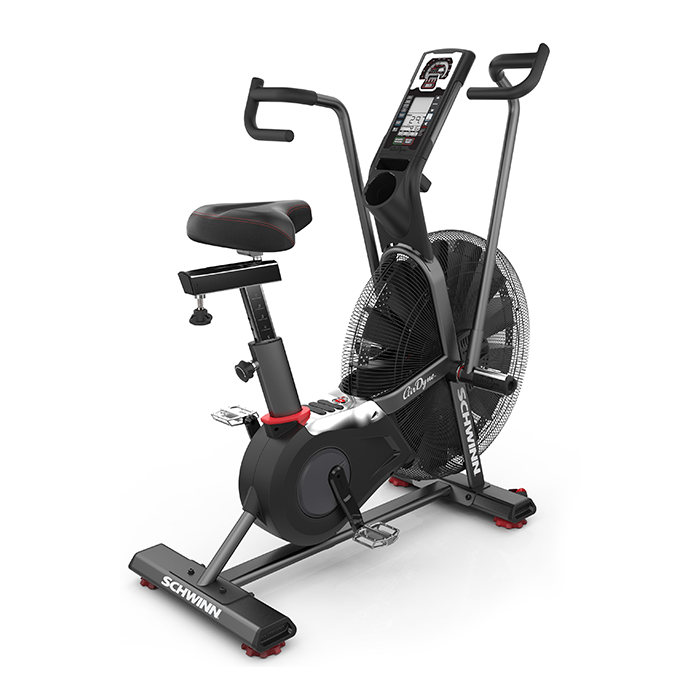 Schwinn Airdyne AD7 Exercise Bike